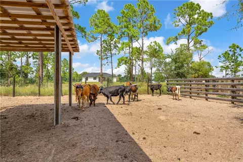 7501 19th Ter, Labelle, FL 33935 photo 32