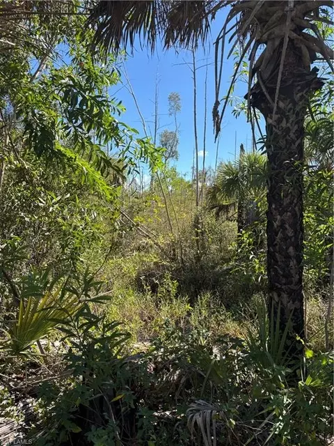 Le Buff Rd, Naples, FL 34114 photo 3