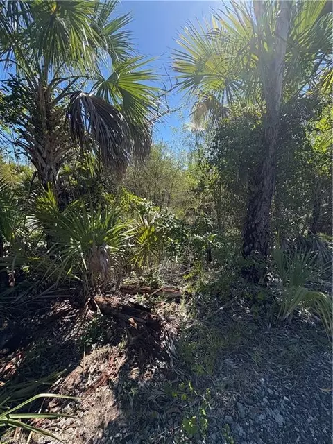 Le Buff Rd, Naples, FL 34114