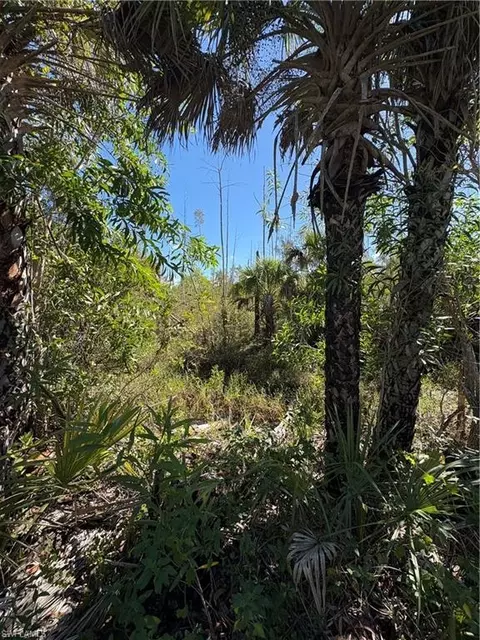 Le Buff Rd, Naples, FL 34114 photo 2