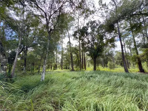 2005 Evans Rd, Labelle, FL 33935 photo 6