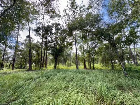 2005 Evans Rd, Labelle, FL 33935 photo 7