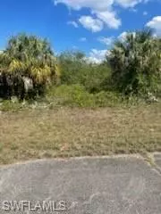 307 S Nancy Ln, Labelle, FL 33935 photo 4