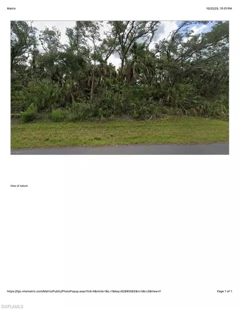 1607 Louis Ave, Lehigh Acres, FL 33972