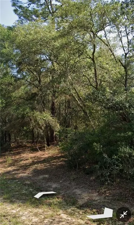 509 E Nemo Dr, Citrus Springs, FL 34434 photo 2