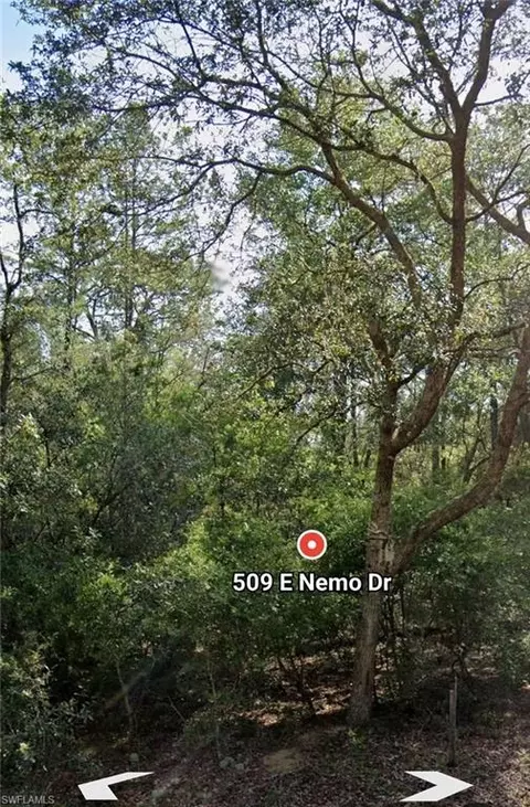 509 E Nemo Dr, Citrus Springs, FL 34434 photo 4