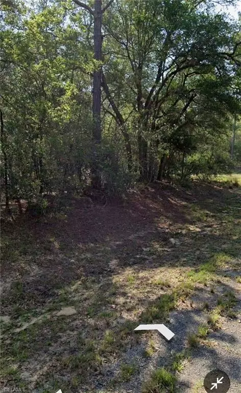 509 E Nemo Dr, Citrus Springs, FL 34434 photo 3