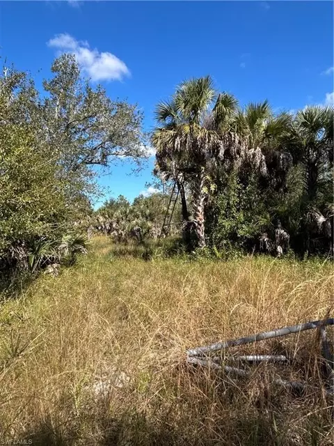 Undisclosed, Naples, FL 34117 photo 12