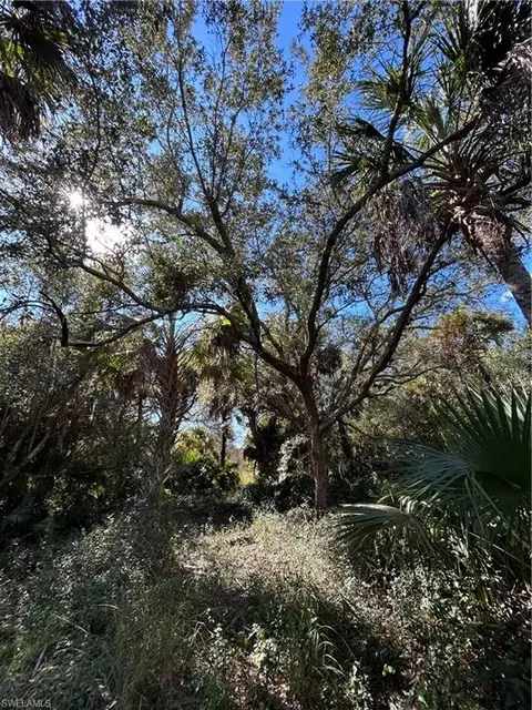 Undisclosed, Naples, FL 34117 photo 9