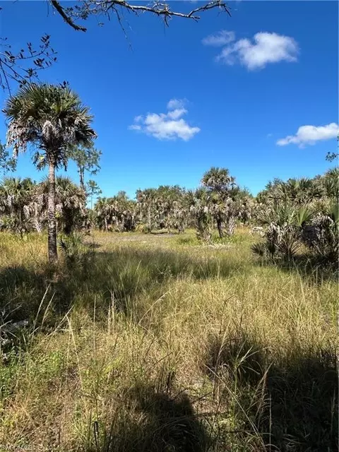 Undisclosed, Naples, FL 34117 photo 6