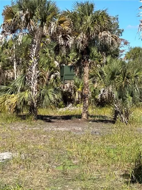 Undisclosed, Naples, FL 34117 photo 5