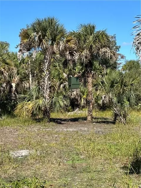 Undisclosed, Naples, FL 34117 photo 44