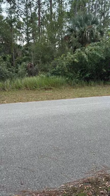 3207 48th St W, Lehigh Acres, FL 33971 photo 2