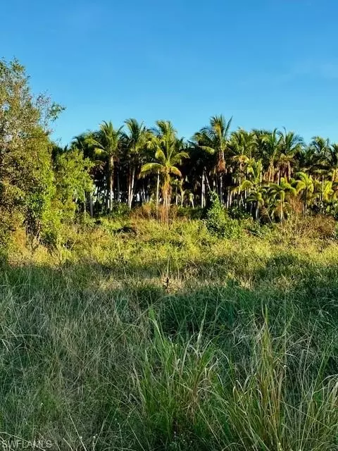 7465 7448 7421 Max Dr, Bokeelia, FL 33922 photo 5