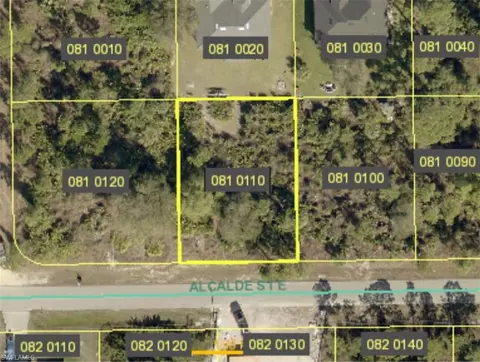 1033 Alcalde St E, Lehigh Acres, FL 33974