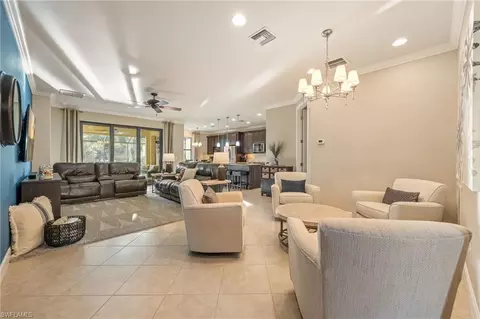20256 Black Tree Ln, Estero, FL 33928 photo 9