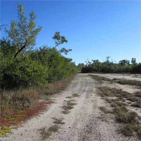 Ficus Tree, Bokeelia, FL 33922 photo 3