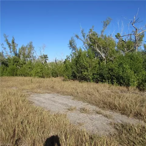 Ficus Tree, Bokeelia, FL 33922 photo 6