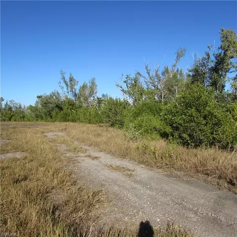 Ficus Tree, Bokeelia, FL 33922 photo 4
