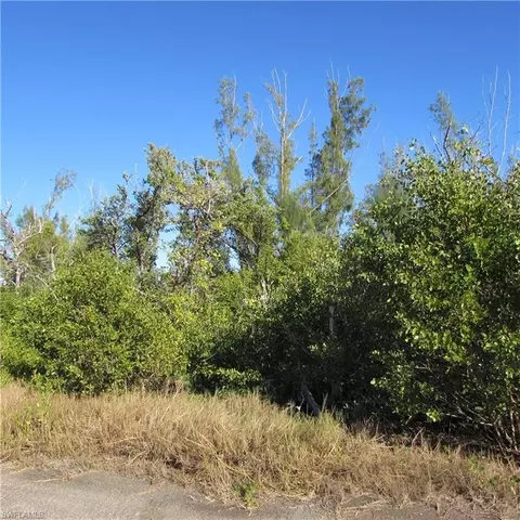 Ficus Tree, Bokeelia, FL 33922 photo 5
