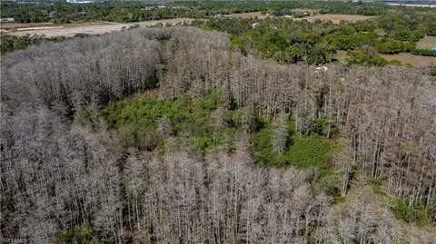 900 G Rd, Labelle, FL 33935 photo 13