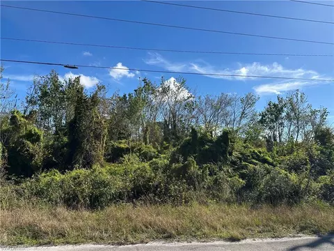 943 Joponica Ave S, Lehigh Acres, FL 33974