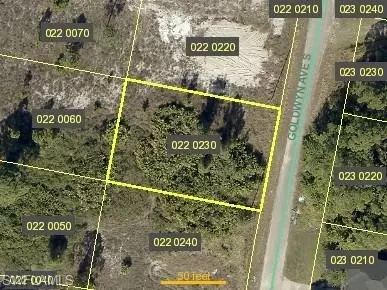 722 Goldwyn Ave S, Lehigh Acres, FL 33974