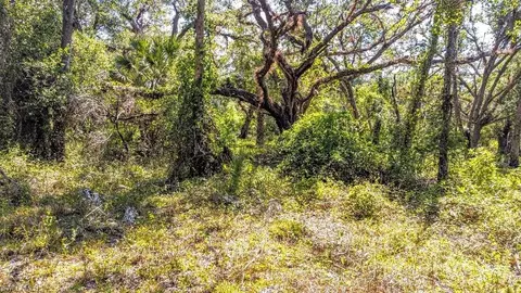 1 Catamount Rd, Labelle, FL 33975 photo 10