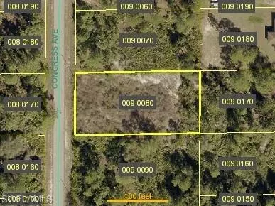 1208 Congress Ave, Lehigh Acres, FL 33972