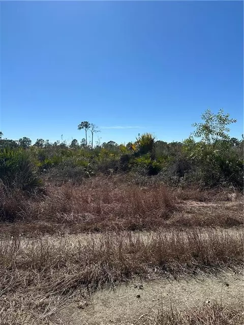7897 1st Ter, Labelle, FL 33935 photo 3
