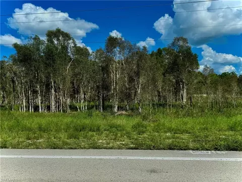 10051007 Homestead Rd S, Lehigh Acres, FL 33974