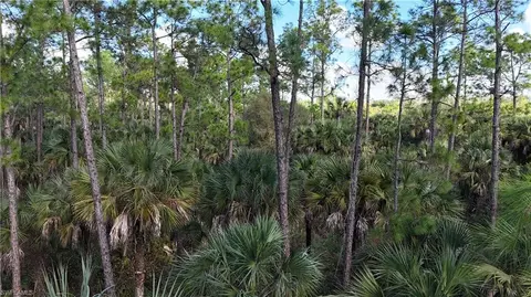 Undisclosed, Naples, FL 34117 photo 10