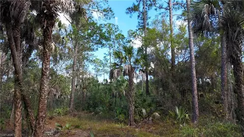 Undisclosed, Naples, FL 34117 photo 7