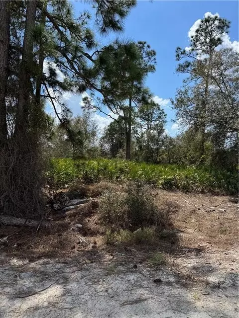 7969 3rd Ter, Labelle, FL 33935 photo 2