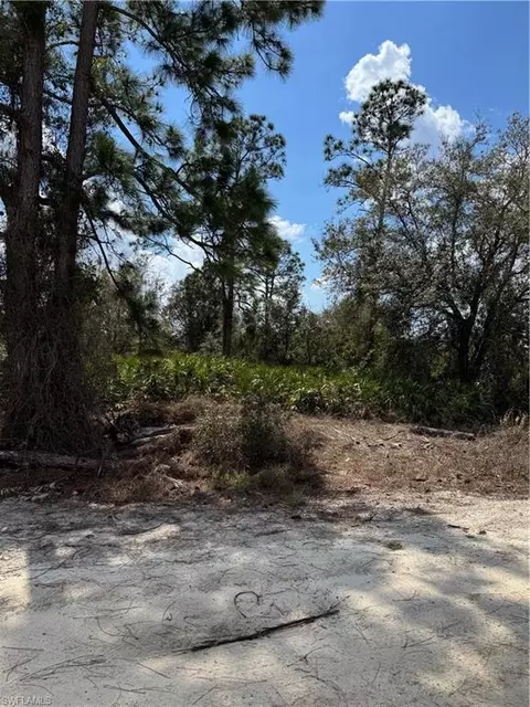 7969 3rd Ter, Labelle, FL 33935 photo 1