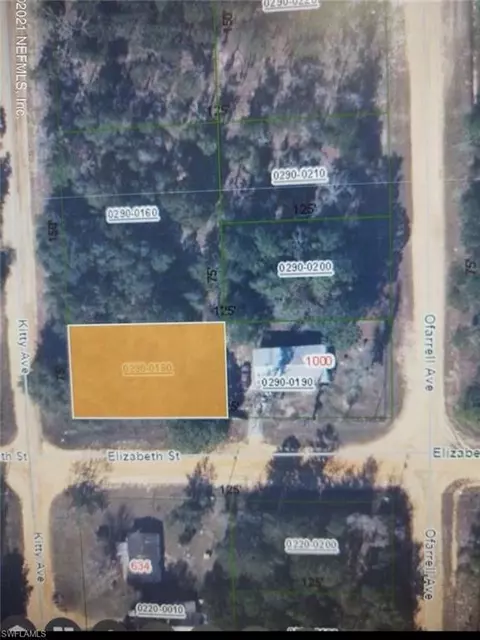 0180 Elizabeth St, Interlachen, FL 32148 photo 2
