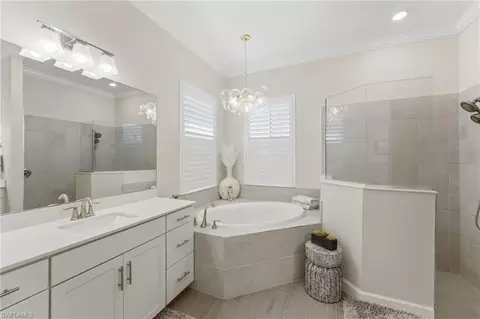 Bath - 20471 Napa Loop, Estero, FL 33928 photo 1 of 5