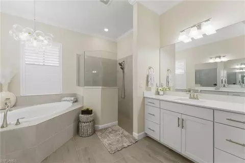 Bath - 20471 Napa Loop, Estero, FL 33928 photo 2 of 5