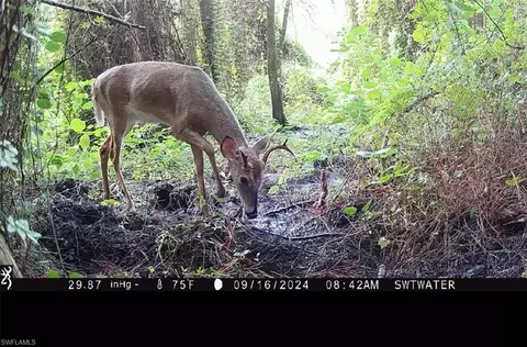 Secretariat Dr, Labelle, FL 33935 photo 31