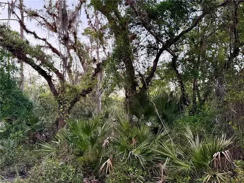 Secretariat Dr, Labelle, FL 33935 photo 39