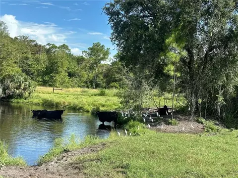 Secretariat Dr, Labelle, FL 33935 photo 12