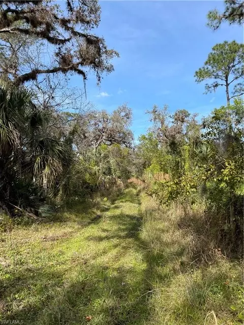 Secretariat Dr, Labelle, FL 33935 photo 14