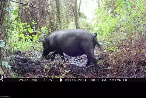 Secretariat Dr, Labelle, FL 33935 photo 32