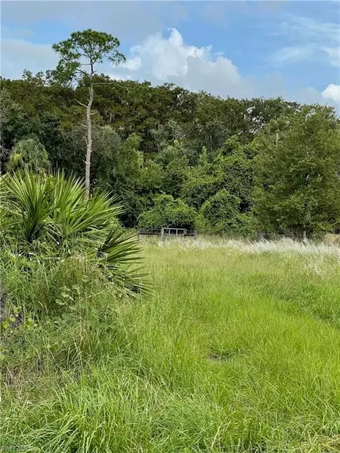 Secretariat Dr, Labelle, FL 33935 photo 18