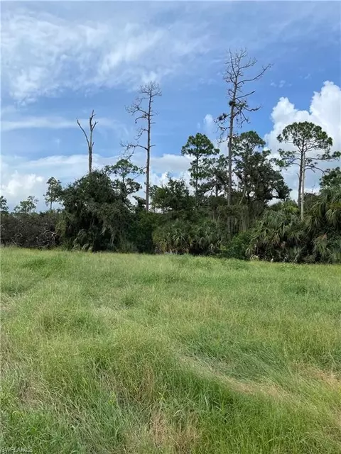 Secretariat Dr, Labelle, FL 33935 photo 20