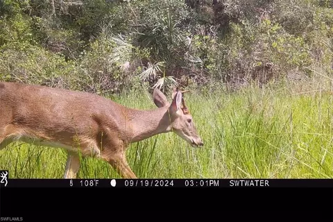 Secretariat Dr, Labelle, FL 33935 photo 30
