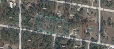 9771-006 NE 00 9771-007-00 Ne 4th St, Williston, FL 32696