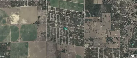 9771-006 NE 00 9771-007-00 Ne 4th St, Williston, FL 32696 photo 3
