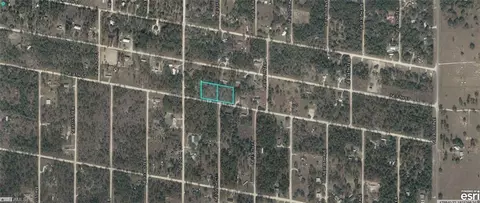 9771-006 NE 00 9771-007-00 Ne 4th St, Williston, FL 32696 photo 2