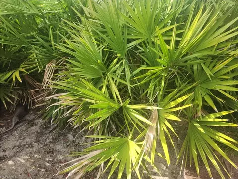 544 Wabasso Ave S, Lehigh Acres, FL 33974